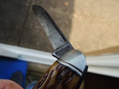 DSCN6320.JPG
