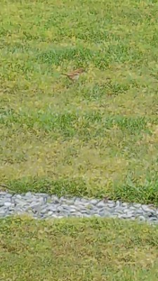 20200512_085023.jpg