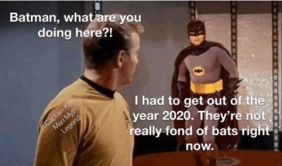 bats.jpg