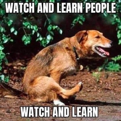 watch and learn.jpg