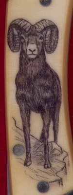 Ram scrim 06.jpg