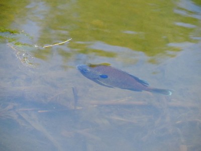 DSCN3350.JPG