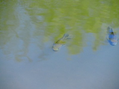 DSCN3351.JPG