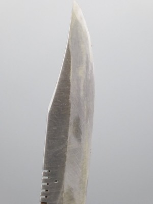 42399_4.JPG