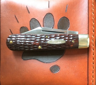 EDC390.jpg