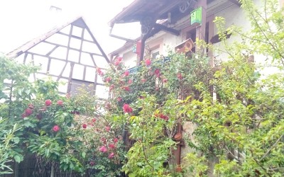 Looking up at our house.:-)
