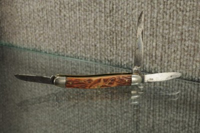 55D Stag head 2.jpg