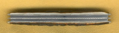 SchradeCut4BladeGSSenatorSpine.jpg