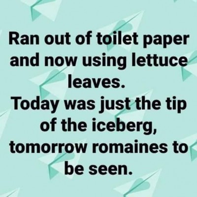 LETTUCE LEAVES.jpg