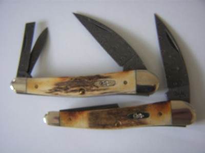 couple damascus stag seahorses