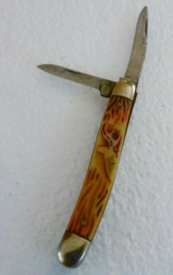 image.jpeg