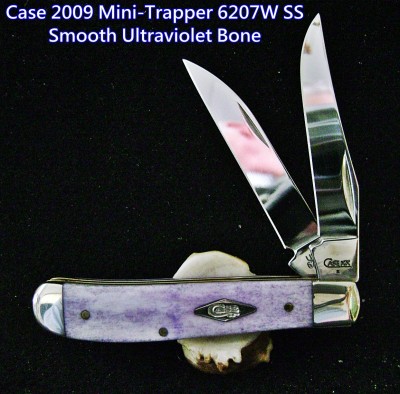 W - Csse 2009 Case XX 6207W SS Mini Wharncliff Trapper Ultraviolet Smooth Bone - Labeled.JPG