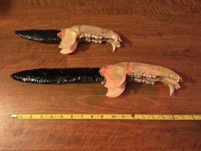 bear_jaw_knives.jpg