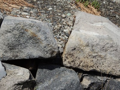 DSCN6490.JPG