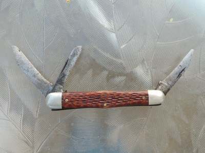 DSCN6595.JPG