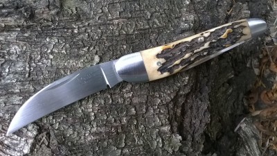 WP_20180704_008.jpg