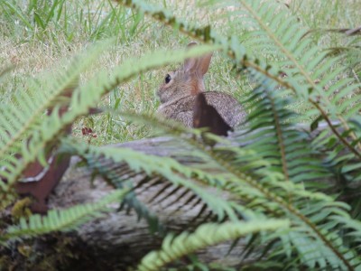 DSCN6390.JPG