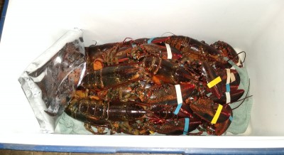 IMG_20200807_171553288.jpg