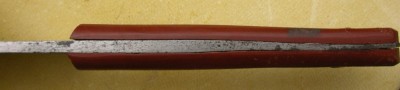 IMGP9289.JPG