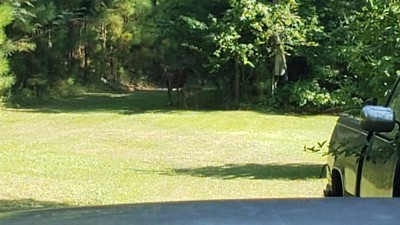 20200813_162356.jpg