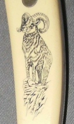 Ram 2 crop.jpg