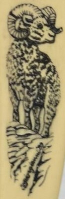 Ram 3 crop.jpg