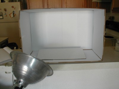 lightbox.JPG