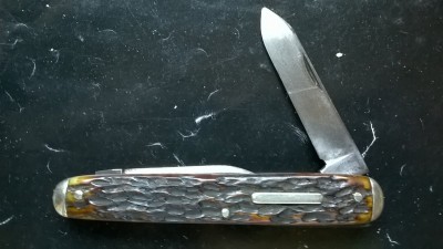 WP_20190424_084.jpg