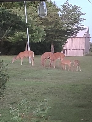 20200825_195136.jpg