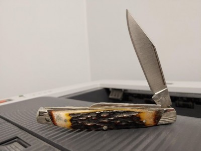 BF2019-3.jpg
