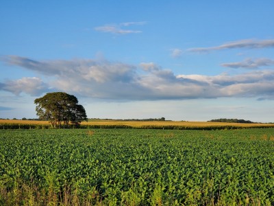 20200828_184853.jpg