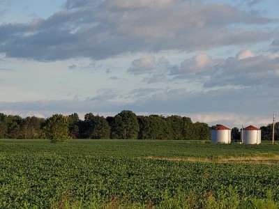 20200828_184906.jpg