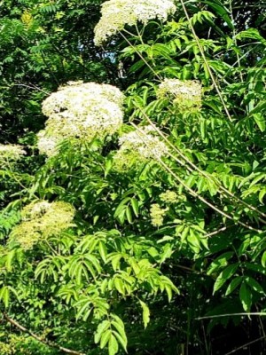 20200829_100649.jpg