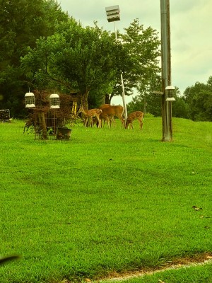 20200901_194638.jpg