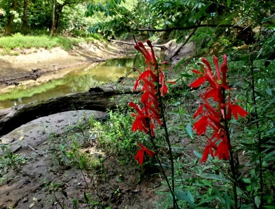 20200904_150052.jpg