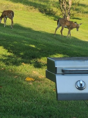 20200907_172830.jpg