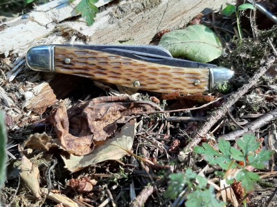 Schrade Walden 895