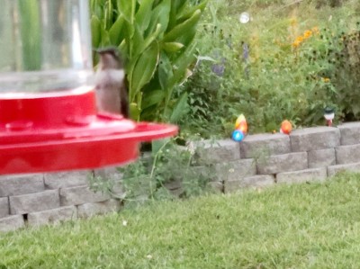 20200918_191035.jpg