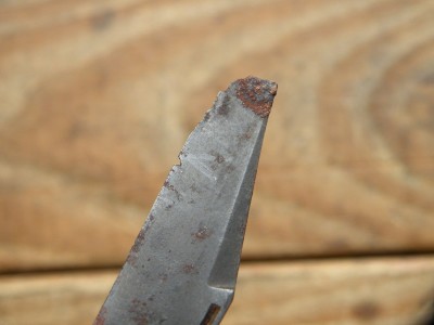 DSCN9761.JPG