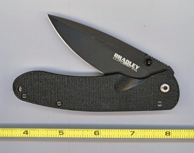 large Bradley lite.jpg
