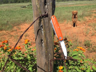 Calf pen.jpg
