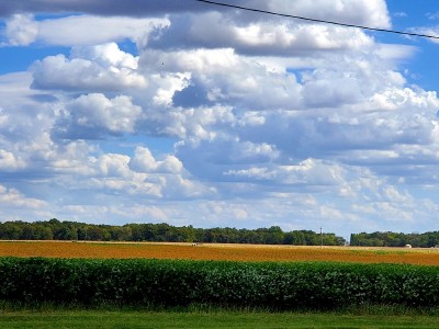 20201001_143554.jpg