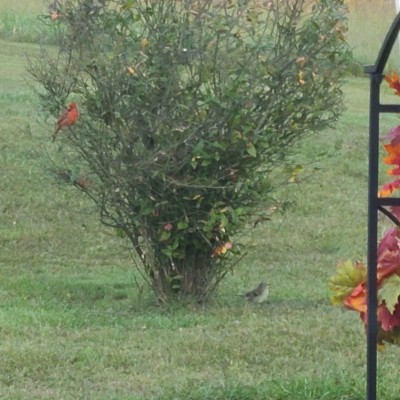 20201001_181656.jpg