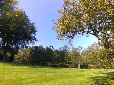 2020-10-04_10-49-17_-_hiking.jpg