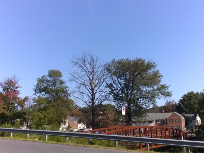 2020-10-04_10-48-54_-_hiking.jpg