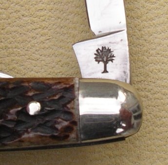 IMGP9775.JPG