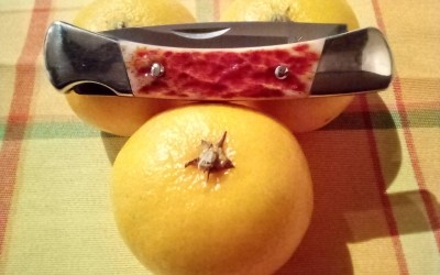 IMG_20201009_195313.jpg