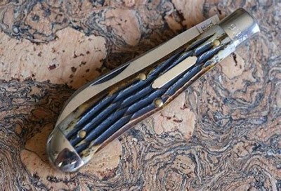 OIP (3).jpg