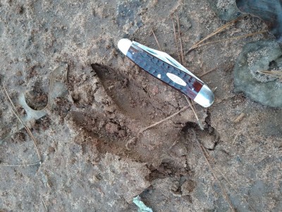 20201016_102313.jpg