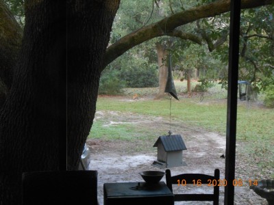 From inside the house